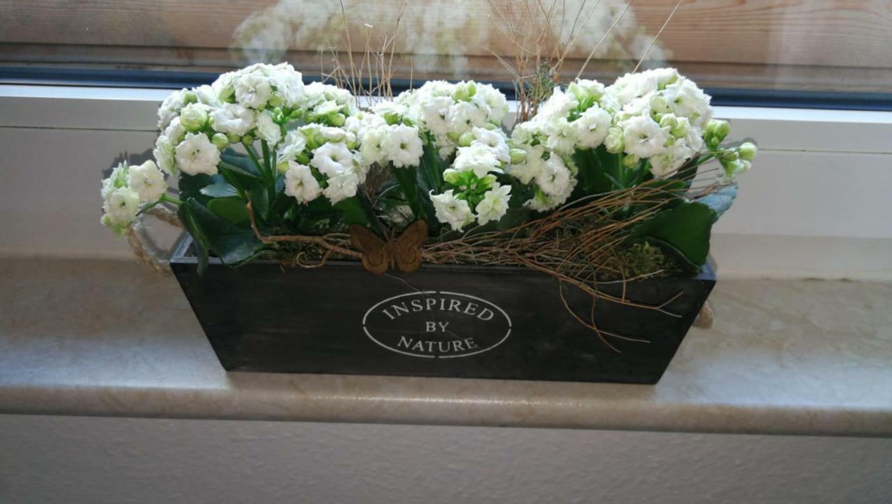 Winterbergvakanties By Willem Kamp Apartment Medebach Ngoại thất bức ảnh